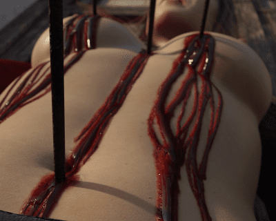 Rose-Pinned-FinalN03